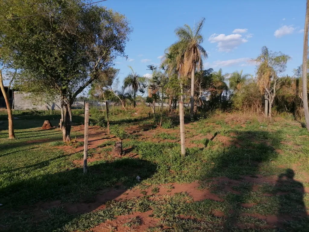Terreno J.A Saldivar — foto 3