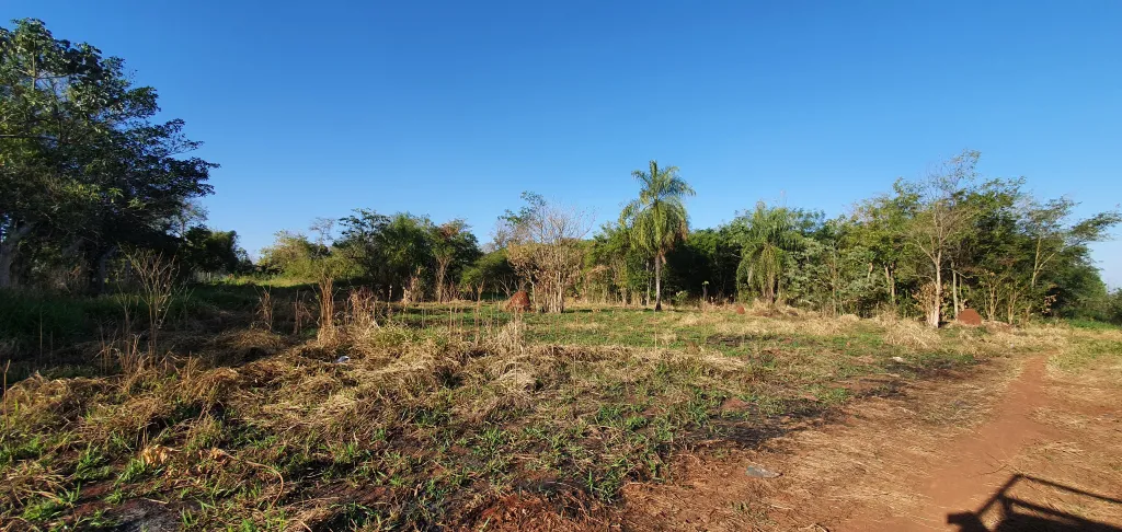 Cinco terrenos en venta, Hernandarias — foto 2