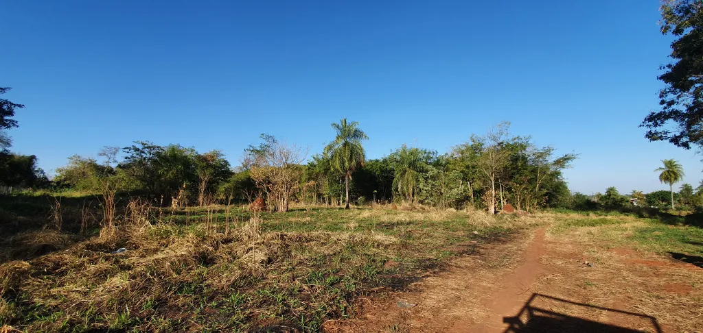 Cinco terrenos en venta, Hernandarias — foto 3
