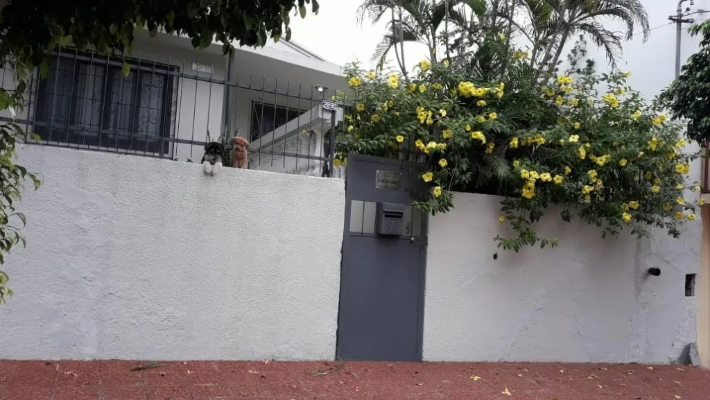 Bº SAN VICENTE – OFERTA!!: CASA A RECICLAR EN VENTA + CONSTRUCCIÓN ADJUNTA, 360M2. — foto 2