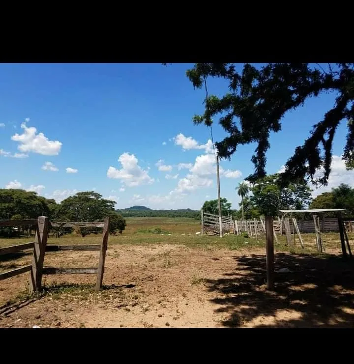 Estancia con Mansión Imponente — foto 2