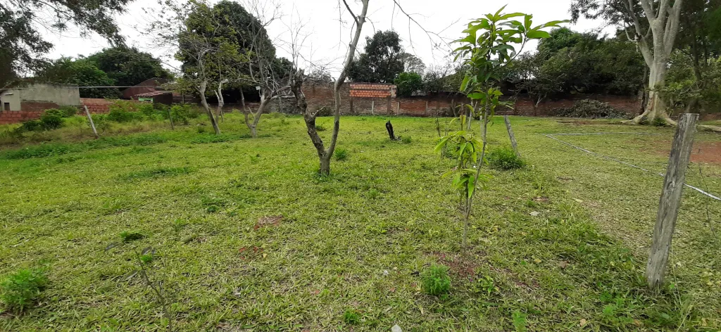 Terreno 15x28 en San Lorenzo — foto 3