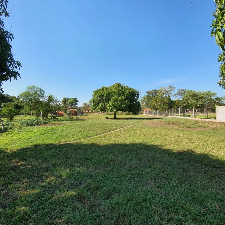 VENDO AMPLIO TERRENO EN LUQUE — foto 2