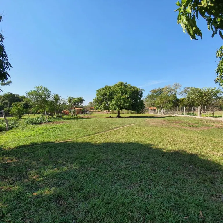 VENDO AMPLIO TERRENO EN LUQUE — foto 3