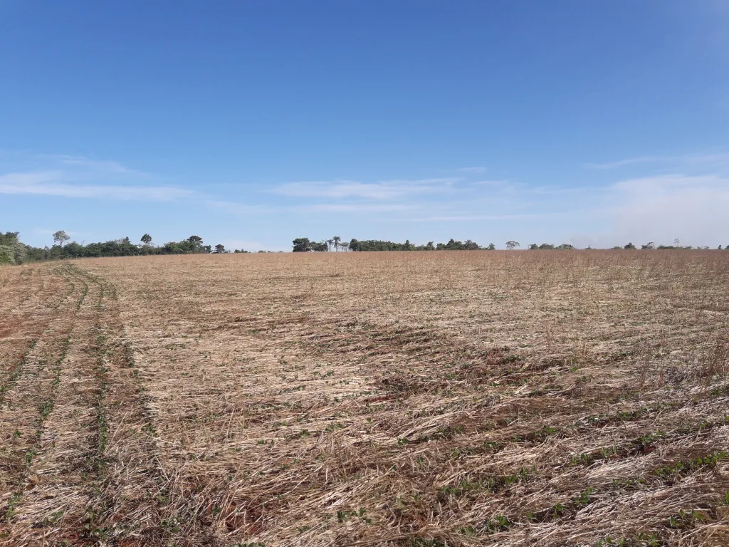 VENDO CAMPO — foto 2
