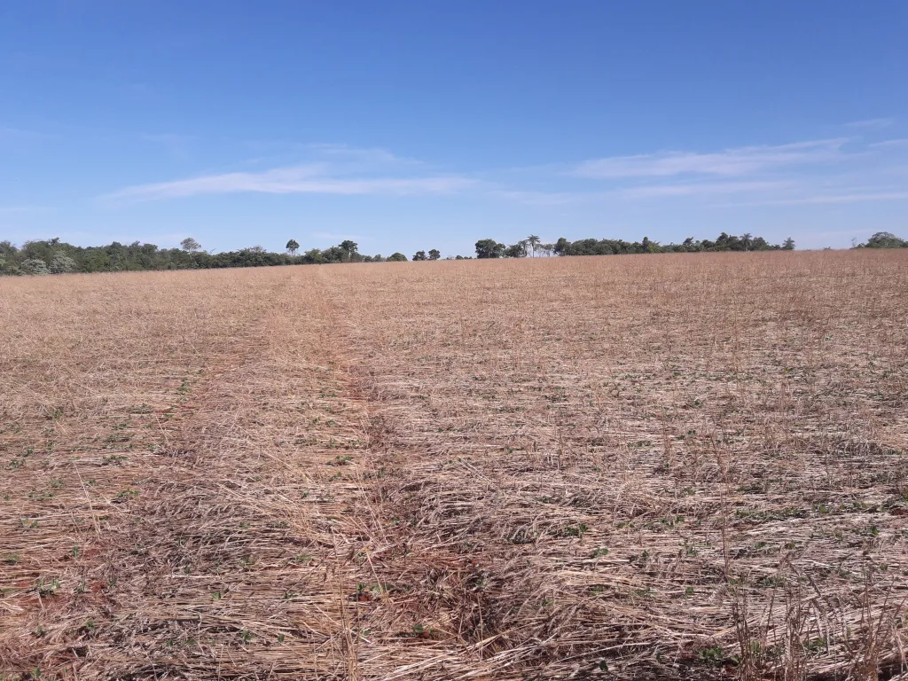 VENDO CAMPO — foto 3