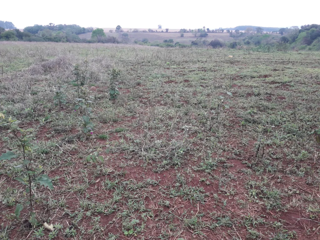 VENDO CAMPO Cap. Miranda — foto 2