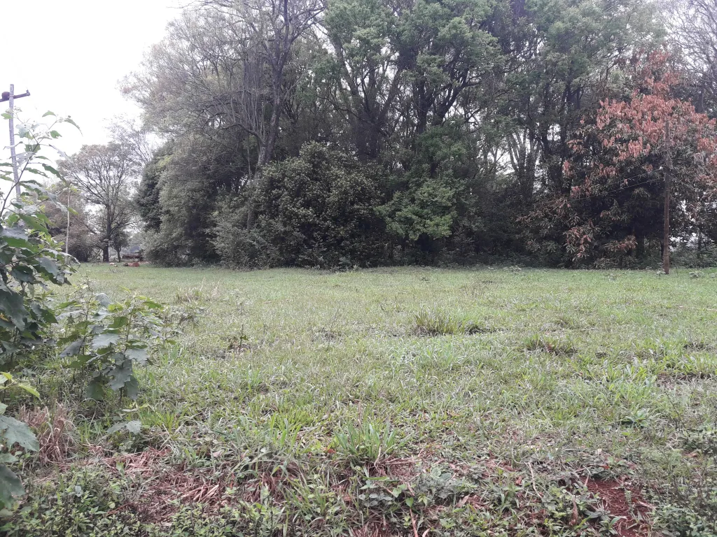 VENDO CAMPO Cap. Miranda — foto 3