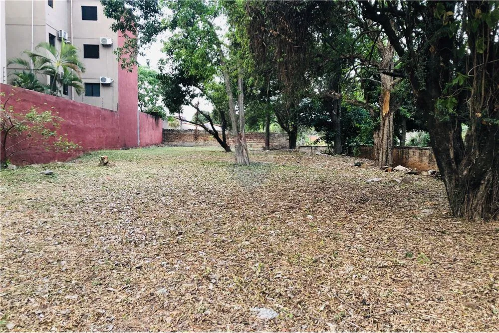 955 M2 EN LOS LAURELES ZONA IGLESIA VIRGEN DEL PILAR — foto 2