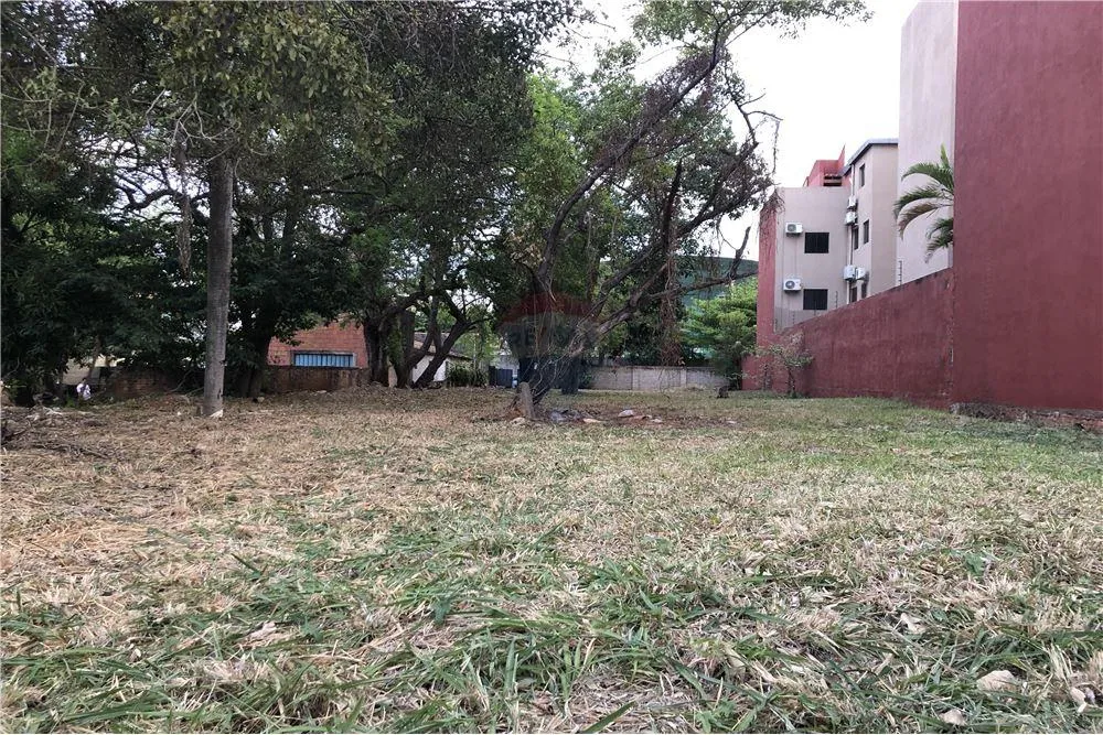 955 M2 EN LOS LAURELES ZONA IGLESIA VIRGEN DEL PILAR — foto 3