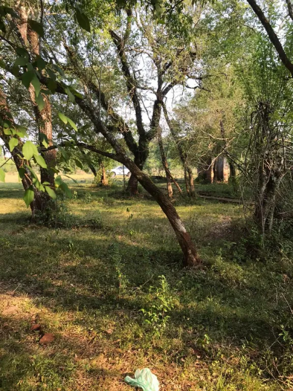Vendidos VENDO TERRENO CON ARROYO - LUGAR: ARROYO PORÃ ITAPUA - ENCARNACION — foto 3