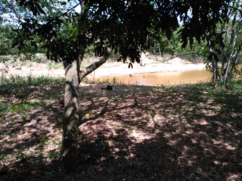 HERMOSO TERRENO CON VISTA AL ARROYO YHAGUY ITACURUBI DE LA CORDILLERA — foto 3