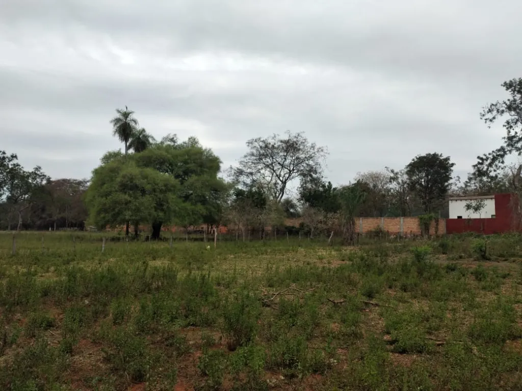 ATENCIONNN!!!!!!!CIUDAD DE LUQUE VENDO 3 HECTAREAS — foto 3