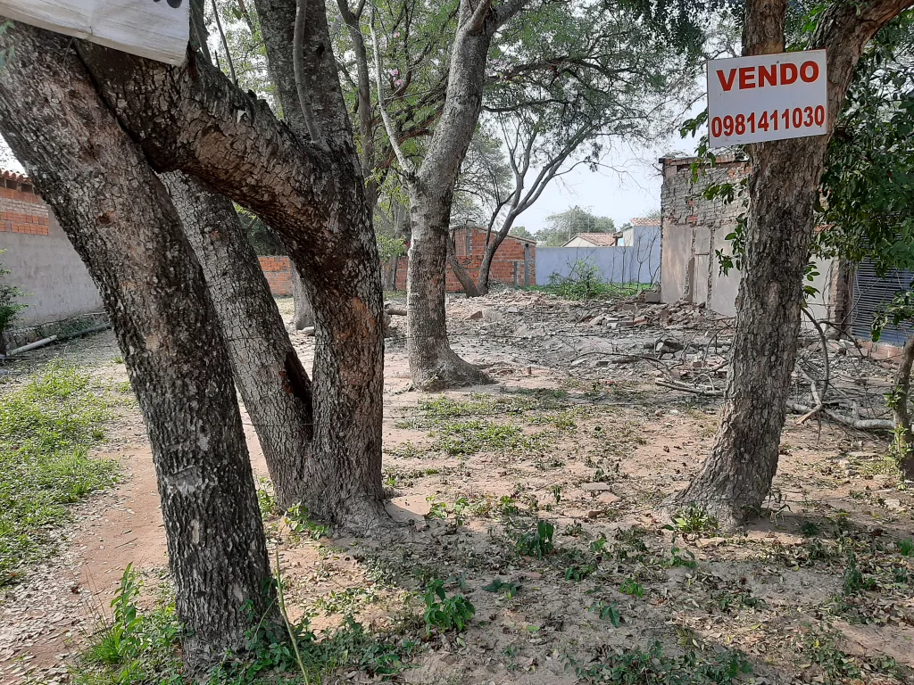 TERRENO EN LIMPIO-ZONA VILLA HUGUITO — foto 3