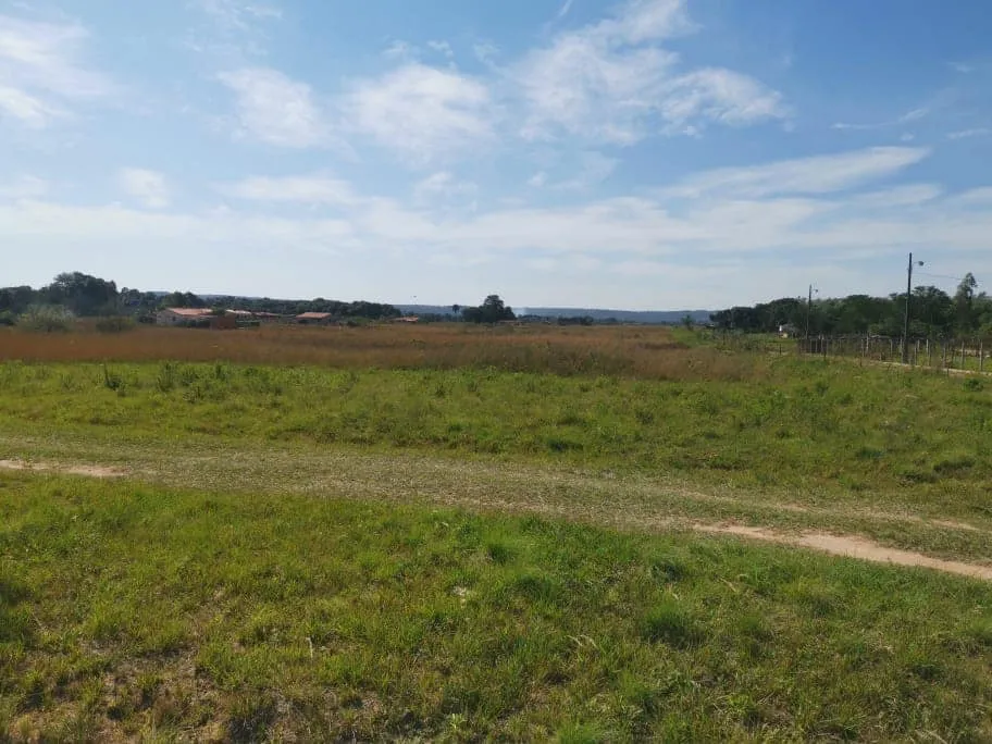 VENDO PROPIEDADES EN ALTOS VARIAS HECTAREAS — foto 2
