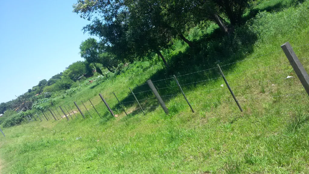 VENDO EN ATYRA 70 HECTAREAS SOBRE ASFASLTO — foto 2