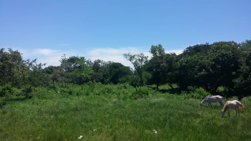 VENDO EN ATYRA 70 HECTAREAS SOBRE ASFASLTO — foto 3