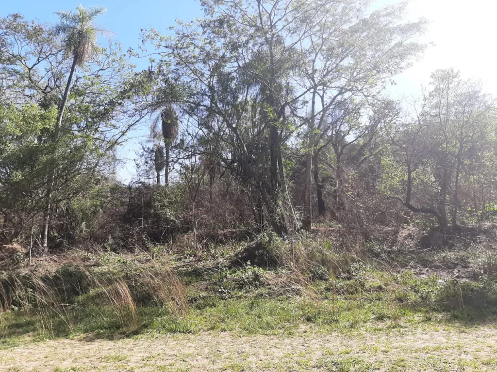 VENDO HERMOSO TERRENO EN SAN BERNARDINO BARRIO CRISTOBAL COLON ZONA CENTRO — foto 3