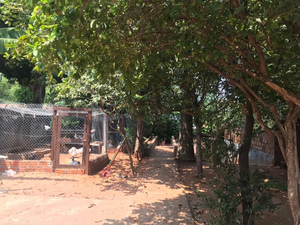 VENDO PROPIEDAD EN ESQUINA 600MTS2 LAMBARÉ — foto 3