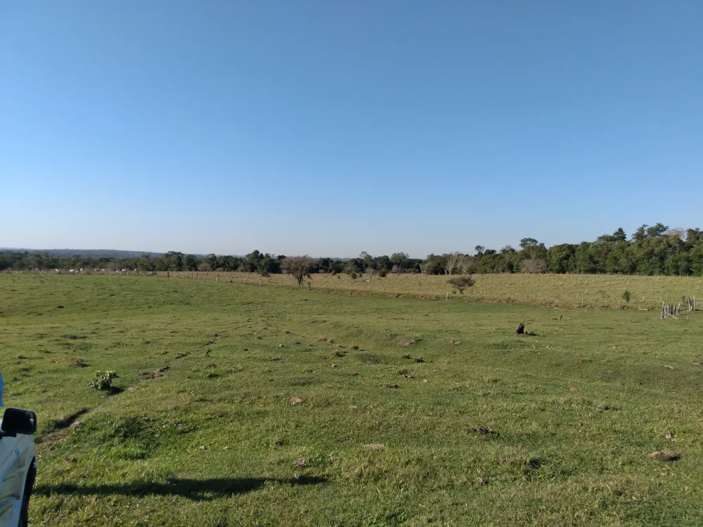 Vendo 40 Hectareas Titulado — foto 2