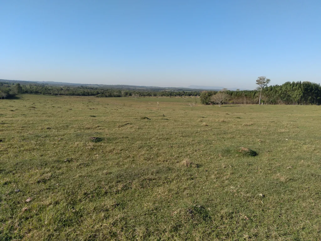 Vendo 40 Hectareas Titulado — foto 3