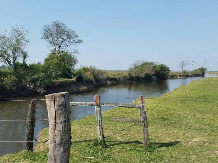 VENDO ESTANCIA EN JUAN DE MENA, 500 Has — foto 3