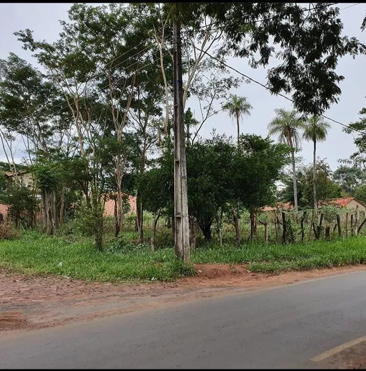 VENDO TERRENOS EN SAN LORENZO — foto 2