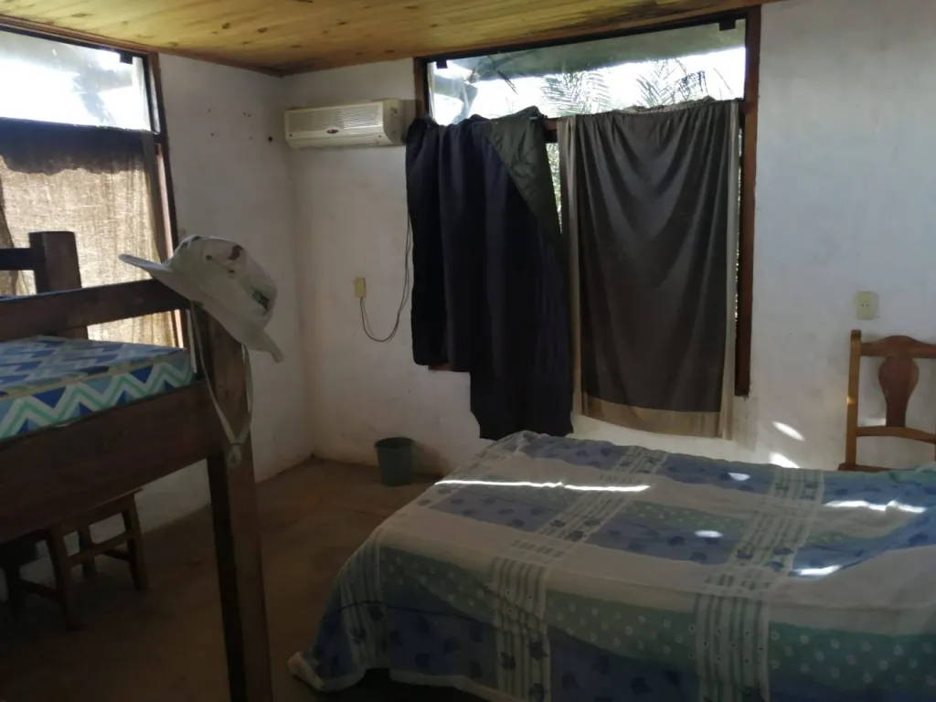 VENDO PROPIEDAD DE 13.4 HECTAREAS EN PIRIBEBUY COD 3307 — foto 3