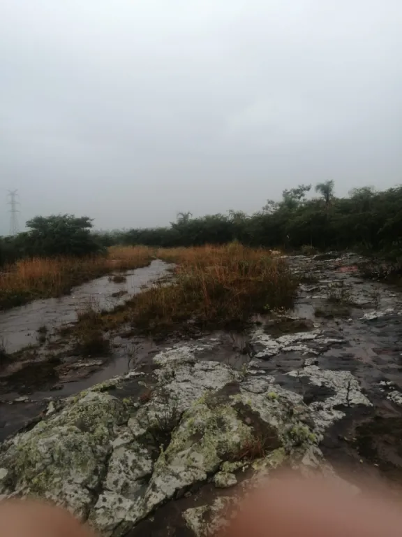 VENDO PROPIEDAD DE 13.4 HECTAREAS EN PIRIBEBUY COD 3307 — foto 2