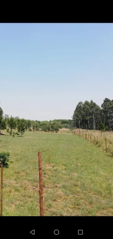 En venta 61 terrenos exclusivos en Mbocayaty Del Guairá — foto 3