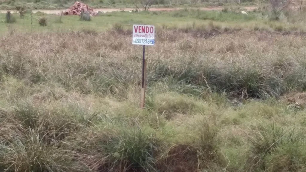 Vendo sobre acceso sur Guarambare cruce Villeta 2 terrenos separados — foto 2