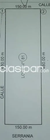 VENDO PROPIEDAD DE 13.4 HECTAREAS EN PIRIBEBUY COD 3307 — foto 2
