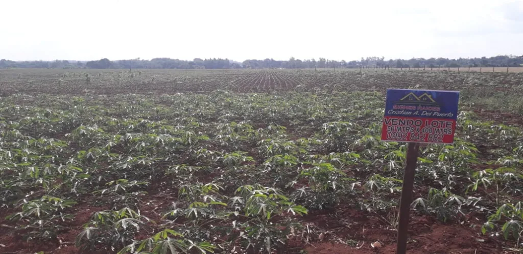 VENDO LOTE ESPECIAL PARA LOTEAMIENTO O GRANJA, A 5KM DE RUTA 02PY KM 213. — foto 2