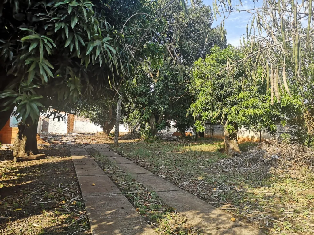 VENDO TERRENO EN FERNANDO DE LA MORA ZONA NORTE — foto 2