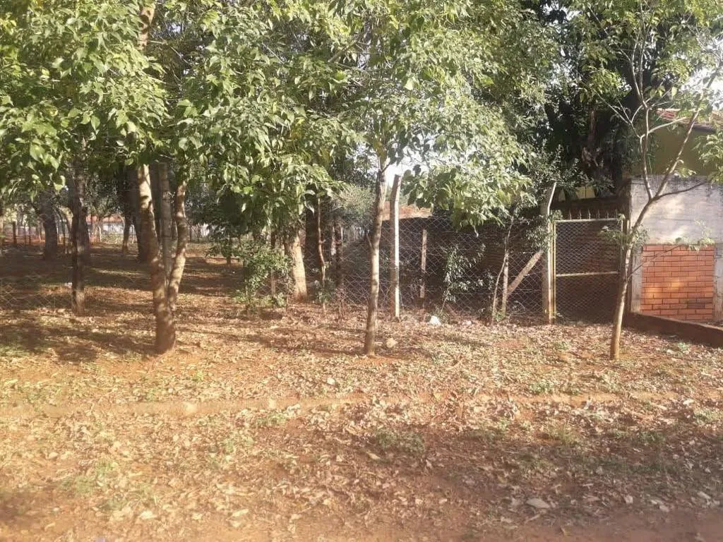 VENDO terrenos en barrio Laurelty Luque — foto 2