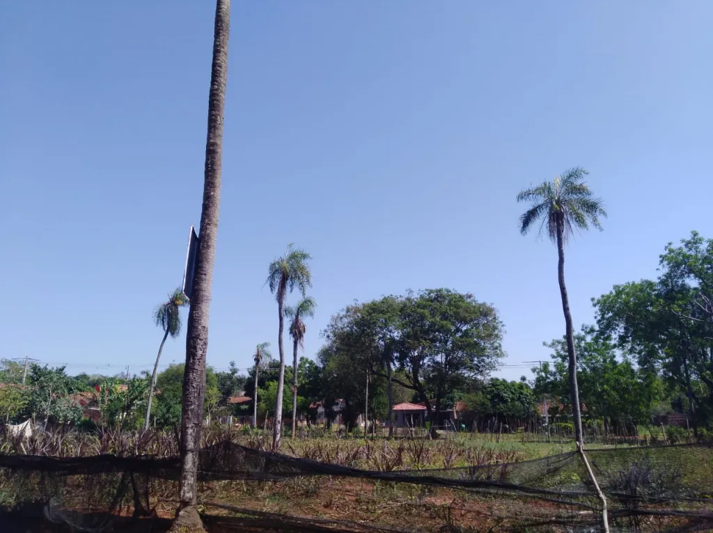 Vendo hermoso terreno en Capiatá Aldana Cañada — foto 2