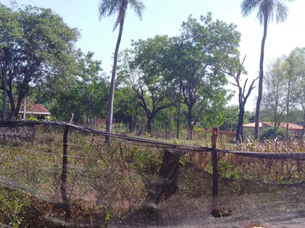 Vendo hermoso terreno en Capiatá Aldana Cañada — foto 3