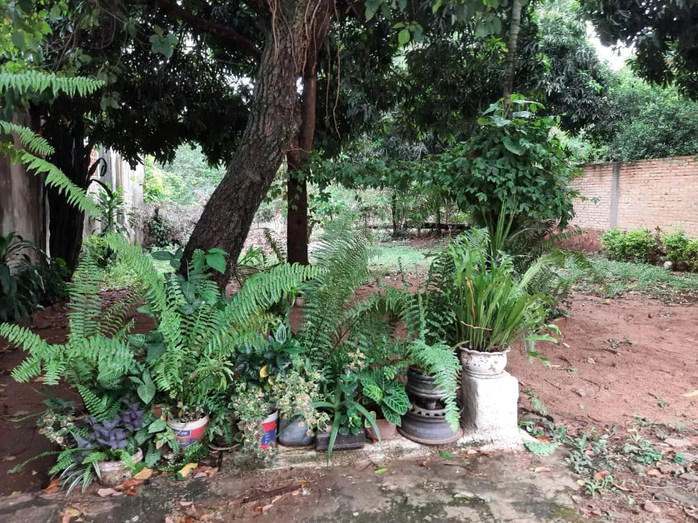 Vendo Casa en Ita - Itaugua titulado — foto 2