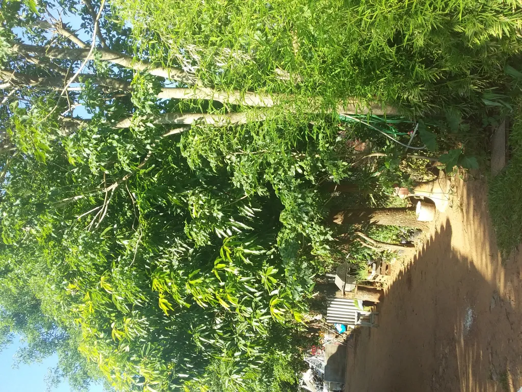 Vendo linda propiedad — foto 2