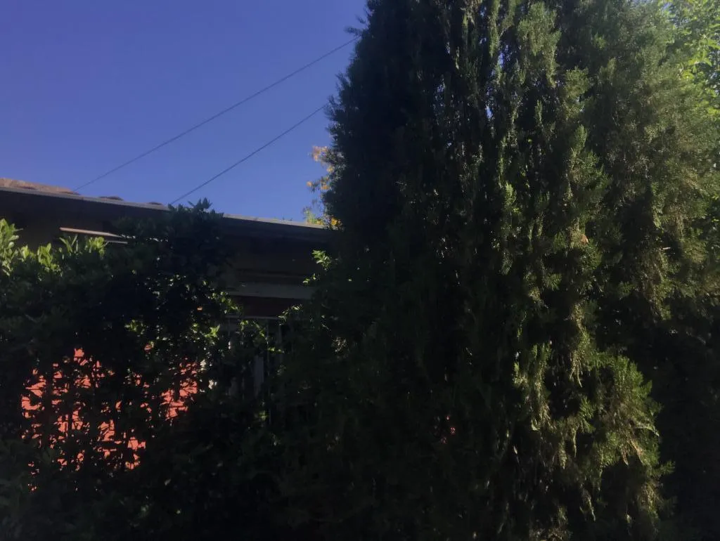 VENDO CASA EN FERNANDO DE LA MORA ZONA SUR — foto 3