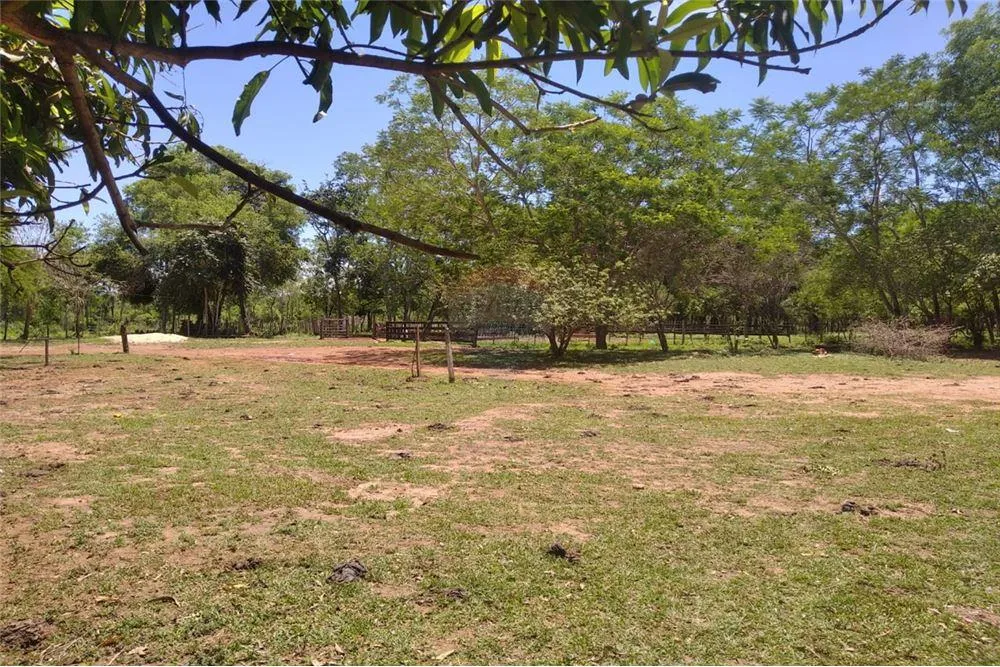 Venta de 60 hectáreas en Oferta en Tobati 1,500,000 USD — foto 3
