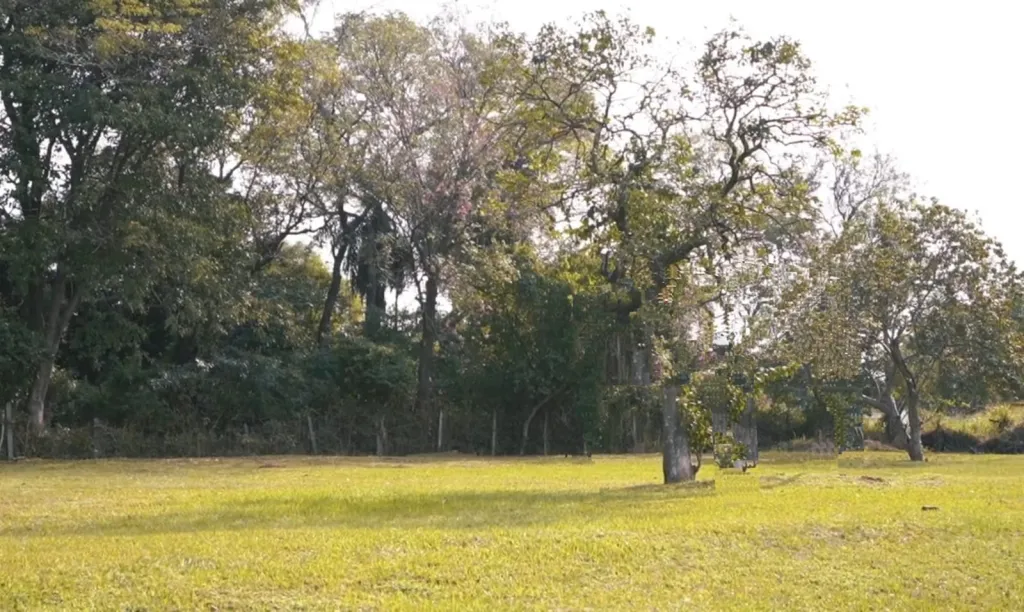 EN VENTA! HERMOSO TERRENO EN YPACARAI, SOBRE RUTA 2 — foto 3