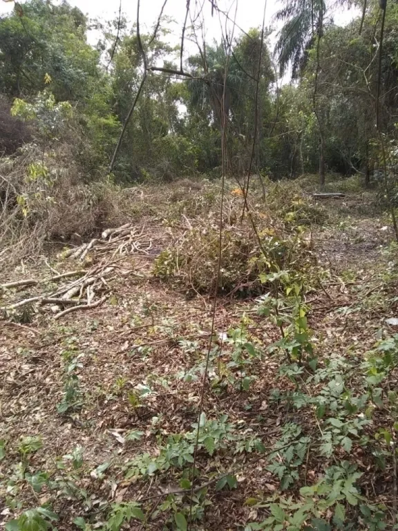 EN VENTA! HERMOSO TERRENO EN YAGUARON — foto 3