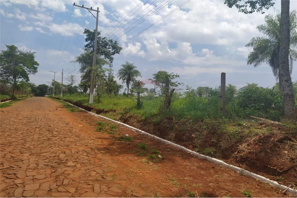 AMPLIO TERRENO DE 2 HECTAREAS EN PRESIDENTE FRANCO 1,100,000 USD — foto 2