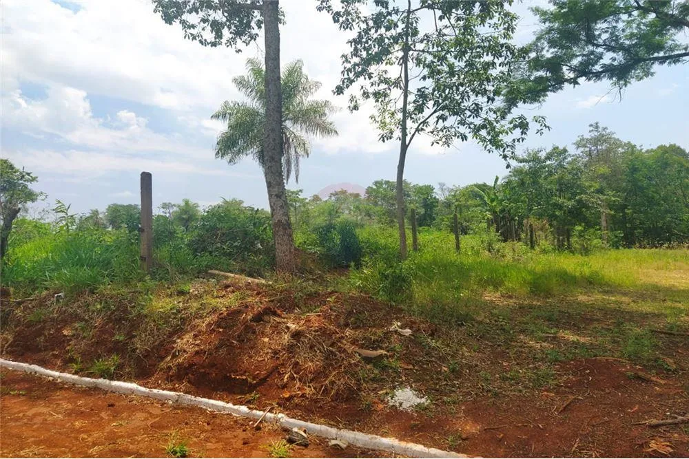 AMPLIO TERRENO DE 2 HECTAREAS EN PRESIDENTE FRANCO 1,100,000 USD — foto 3