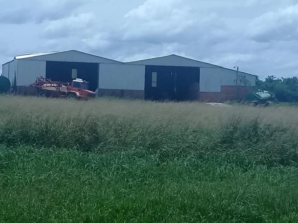 CAAZAPA HIGINIO MORÍNIGO: 3.500 HAS, AGRÍCOLA INTENSA, GANADERA, ARROCERA, 2.500USDHA. — foto 2