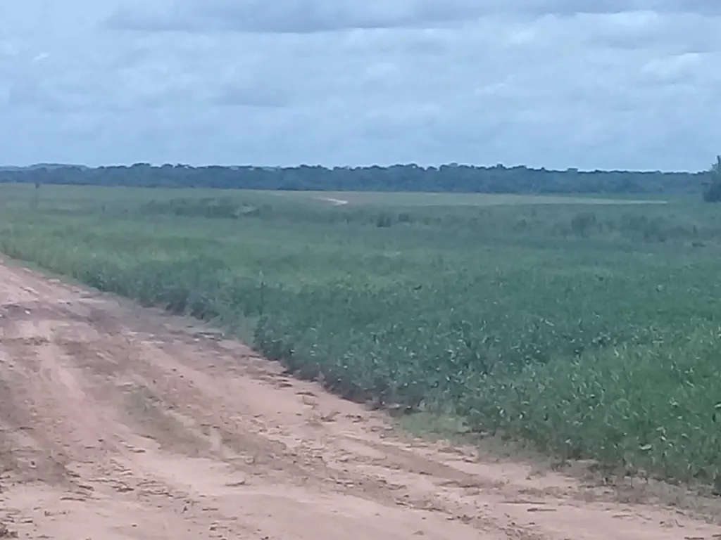 CAAZAPA HIGINIO MORÍNIGO: 3.500 HAS, AGRÍCOLA INTENSA, GANADERA, ARROCERA, 2.500USDHA. — foto 3