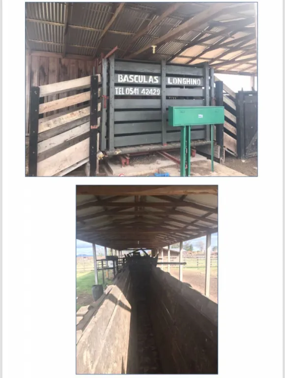 SAN PEDRO DEL PARANÁ, ITAPUA (S R. TEBICUARY): 6.800 HAS AGROGANADERAS, INFRAESTRUCTURA. — foto 3