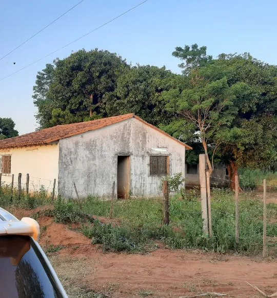 Oferta de 12 Hectáreas con Casa en Nva Italia — foto 3