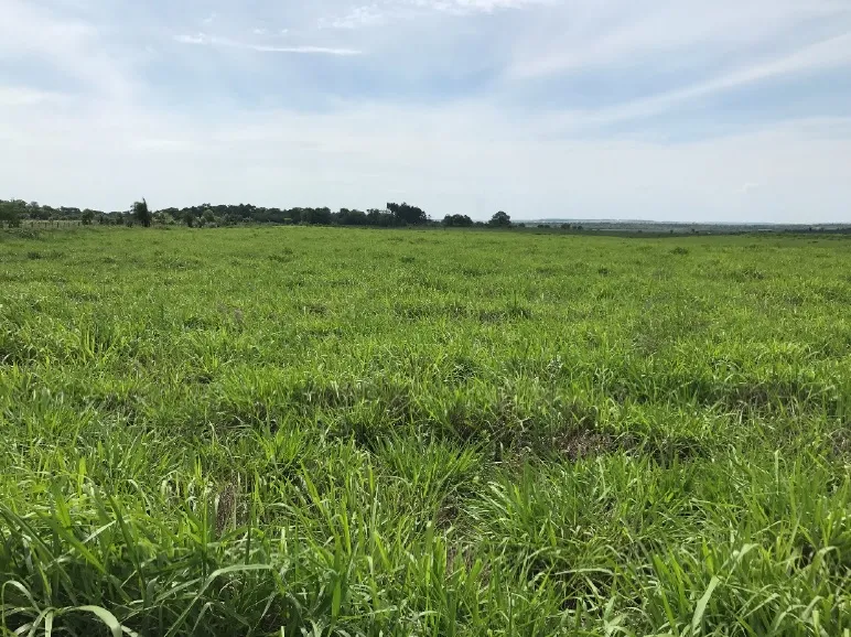 S RIO TEBICUARY (YEGROS - CAAZAPA): 3.000 HAS, ESTANCIA MODELO AGRO GANADERA. — foto 2